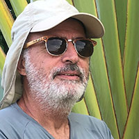 José Araripe Jr.